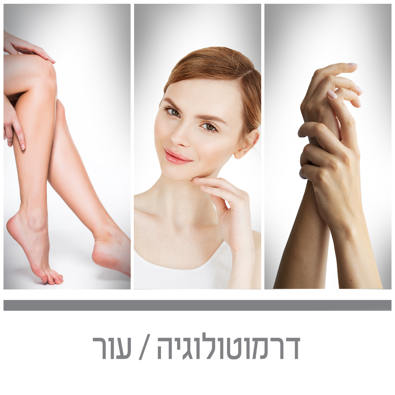 קטגוריית דרמטולוגיה,עור | tree of Life