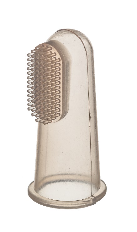 Ezbeoni dent without box